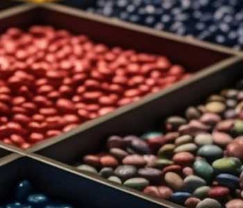 LOGO SUN SEED | MXP | VIPUL ORGANICS